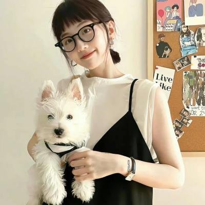 维京狼 海报
