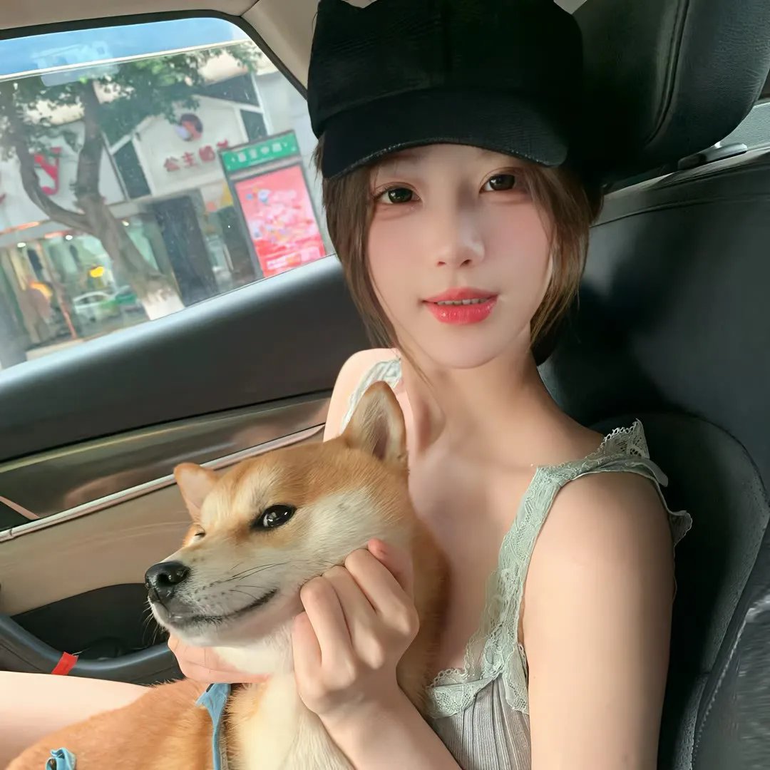 天网记 海报